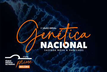 1º  LEILÃO VIRTUAL GENÉTICA NACIONAL - FAZENDA NOVA & PARCEIROS - ETAPA PRIME